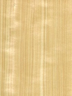 Aspen veneer